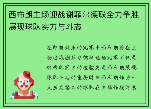 西布朗主场迎战谢菲尔德联全力争胜展现球队实力与斗志